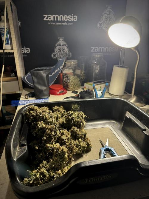 A Sudae Driver Mood. Week 14 - SD#3