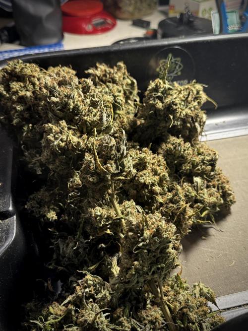 A Sudae Driver Mood. Week 14 - SD#3