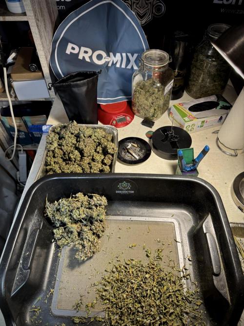 A Sudae Driver Mood. Week 14 - SD#3