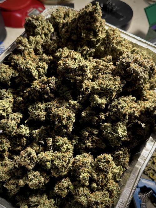 A Sudae Driver Mood. Week 13 - harvest and smoke review missing files 