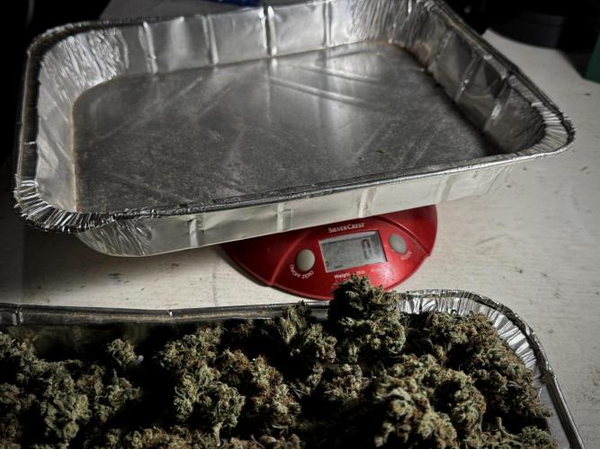 A Sudae Driver Mood. Week 13 - harvest and smoke review missing files 