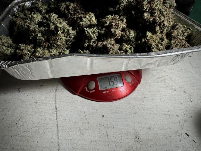 A Sudae Driver Mood. Week 13 - harvest and smoke review missing files 