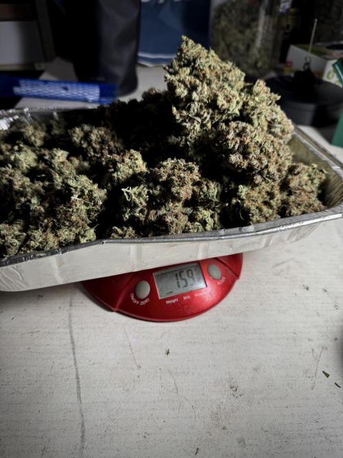 A Sudae Driver Mood. Week 13 - harvest and smoke review missing files 