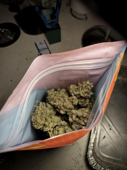 A Sudae Driver Mood. Week 13 - harvest and smoke review missing files 