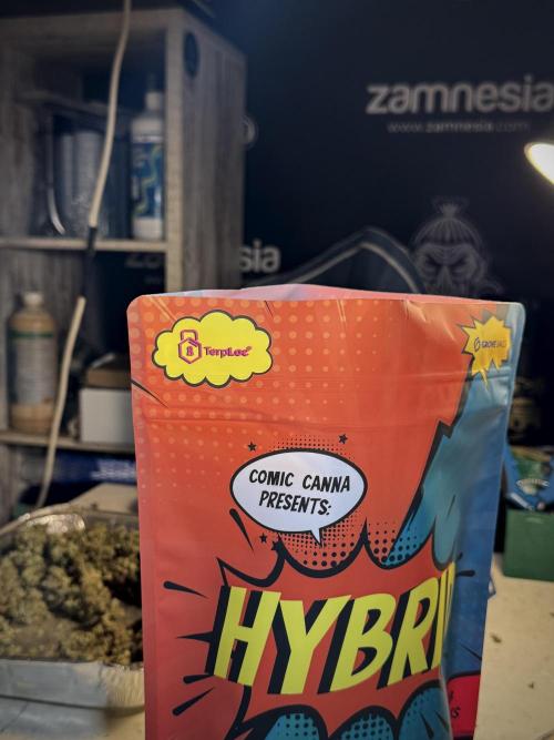 A Sudae Driver Mood. Week 13 - harvest and smoke review missing files 