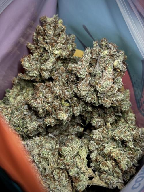 A Sudae Driver Mood. Week 13 - harvest and smoke review missing files 