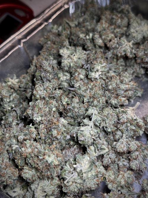 A Sudae Driver Mood. Week 13 - harvest and smoke review missing files 