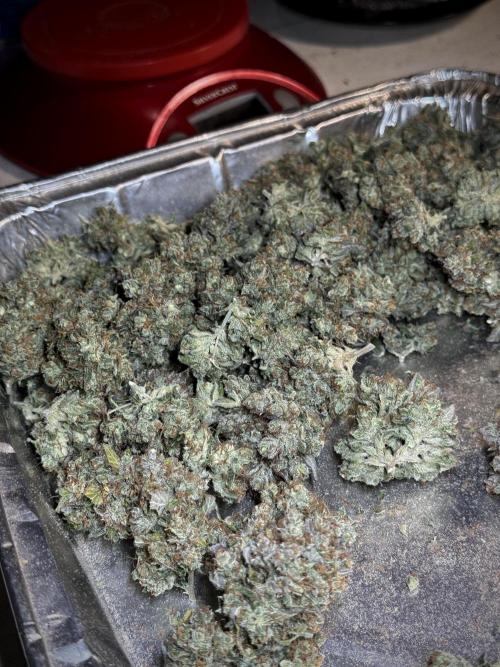 A Sudae Driver Mood. Week 13 - harvest and smoke review missing files 