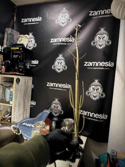 A Sudae Driver Mood. Week 13 - harvest and smoke review missing files 