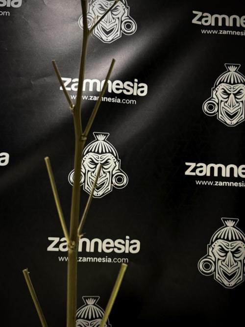 A Sudae Driver Mood. Week 13 - harvest and smoke review missing files 