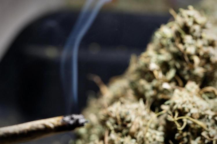 Dognabis 035 Permanent Marker (Zamnesia). Week 13 - PM #2