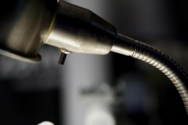 Dognabis 035 Permanent Marker (Zamnesia). Week 13 - PM #2