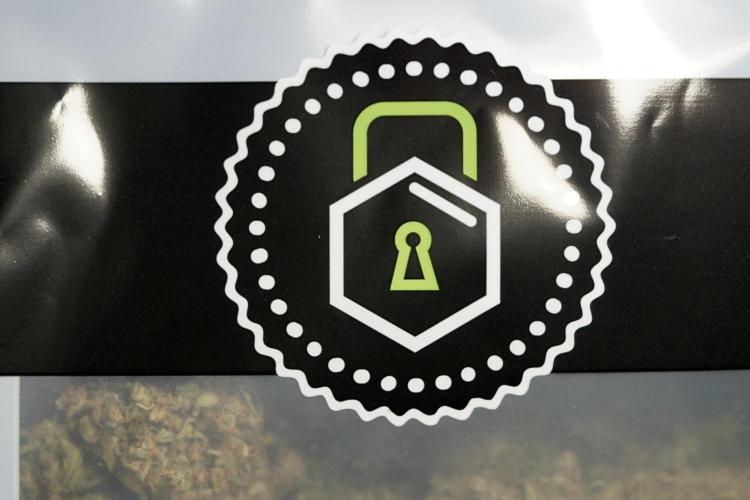 Dognabis 035 Permanent Marker (Zamnesia). Week 13 - PM #2