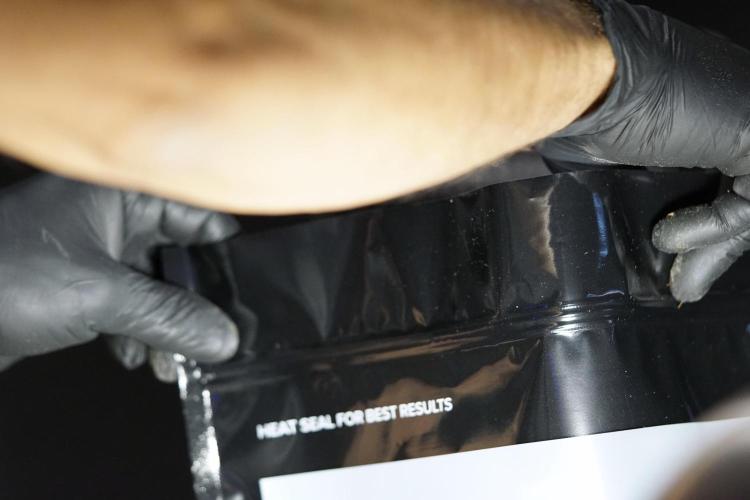 Dognabis 035 Permanent Marker (Zamnesia). Week 13 - PM #2