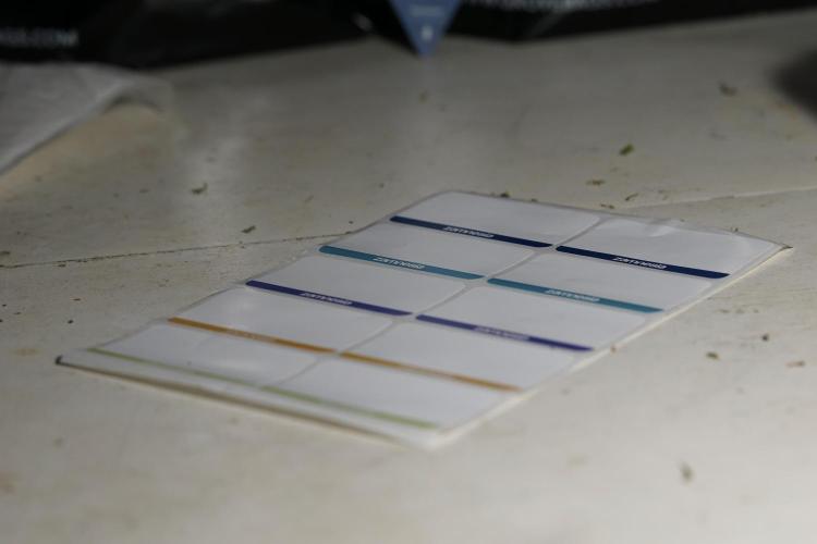 Dognabis 035 Permanent Marker (Zamnesia). Week 13 - PM #2