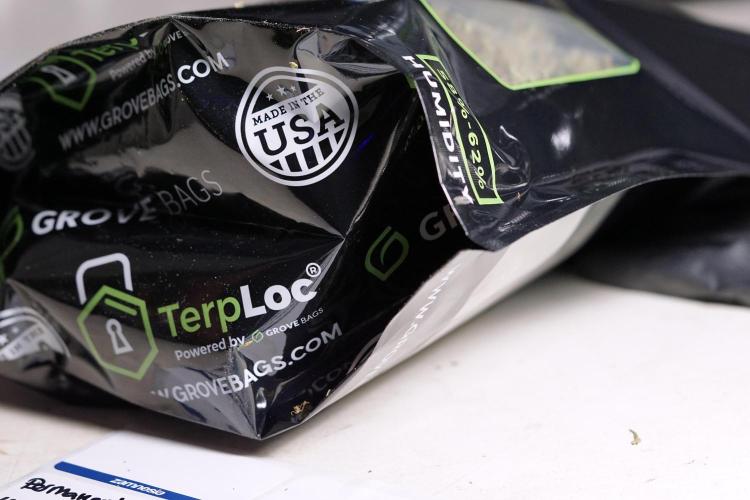 Dognabis 035 Permanent Marker (Zamnesia). Week 13 - PM #2