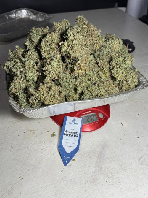 Dognabis 035 Permanent Marker (Zamnesia). Week 13 - PM #2