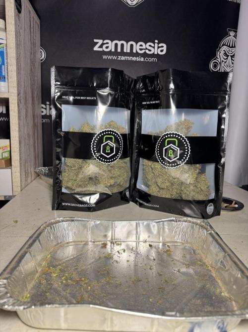 Dognabis 035 Permanent Marker (Zamnesia). Week 13 - PM #2