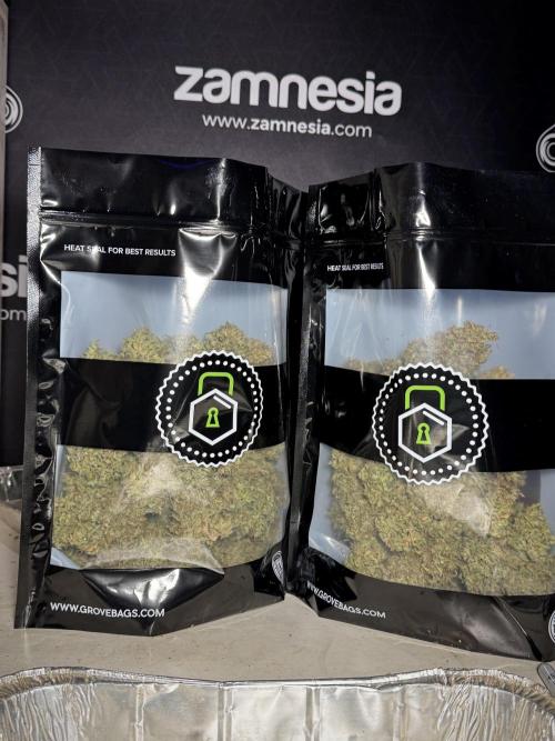 Dognabis 035 Permanent Marker (Zamnesia). Week 13 - PM #2