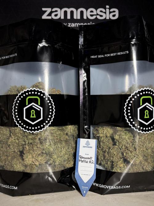 Dognabis 035 Permanent Marker (Zamnesia). Week 13 - PM #2