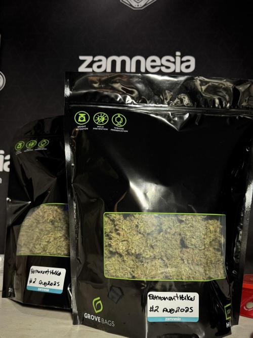 Dognabis 035 Permanent Marker (Zamnesia). Week 13 - PM #2