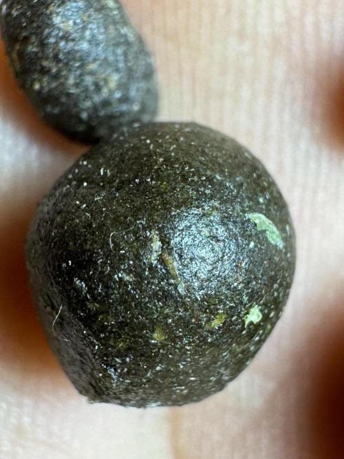 Dognabis 035 Permanent Marker (Zamnesia). Week 13 - PM #2