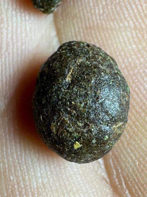 Dognabis 035 Permanent Marker (Zamnesia). Week 13 - PM #2