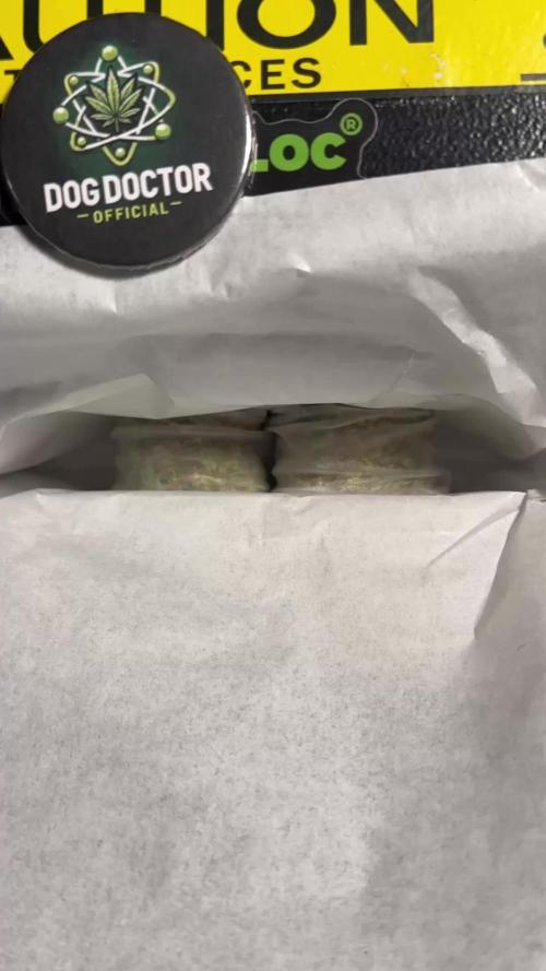 Dognabis 035 Permanent Marker (Zamnesia)