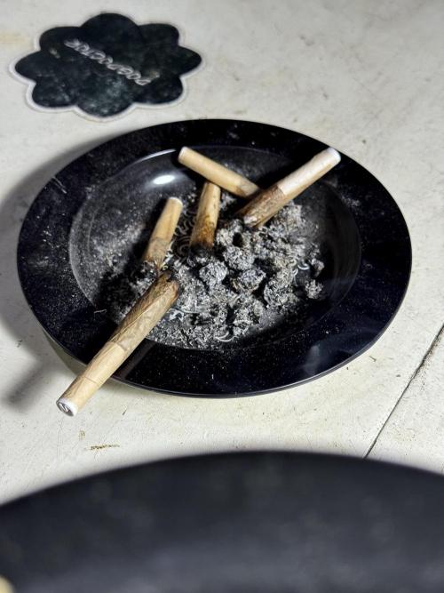 BlueBerry by Zamnesia Seeds. Week 15 - it is what it is 