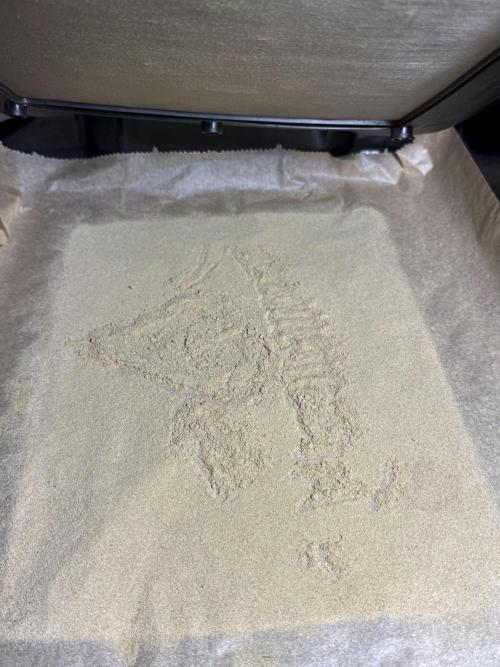 BlueBerry by Zamnesia Seeds. Week 15 - Gold