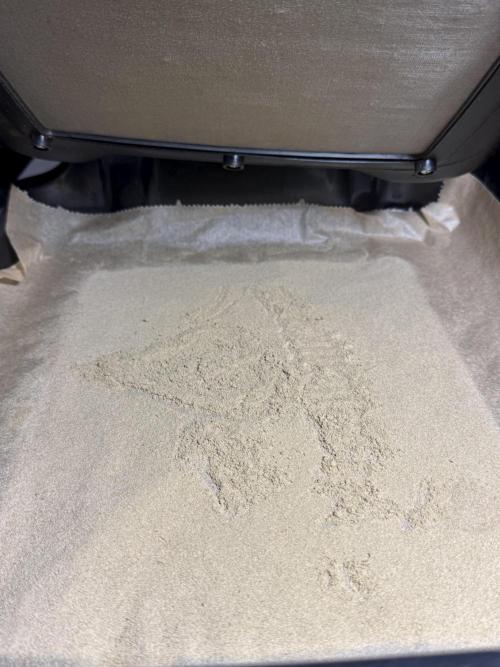 BlueBerry by Zamnesia Seeds. Week 15 - Gold