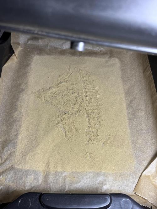 BlueBerry by Zamnesia Seeds. Week 15 - Gold