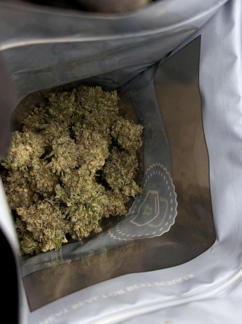 BlueBerry by Zamnesia Seeds. Week 15 - BB#2