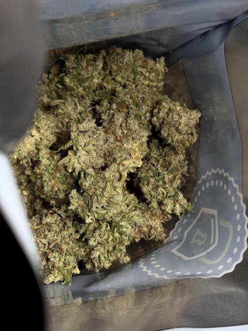 BlueBerry by Zamnesia Seeds. Week 15 - BB#2