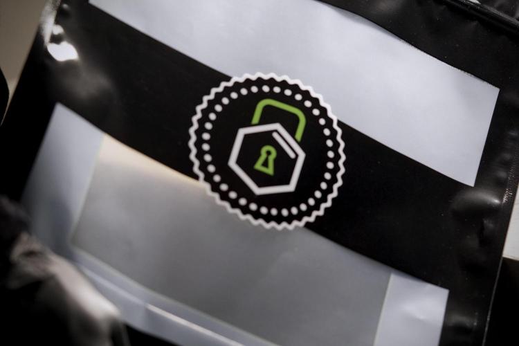 BlueBerry by Zamnesia Seeds. Week 15 - BB#2