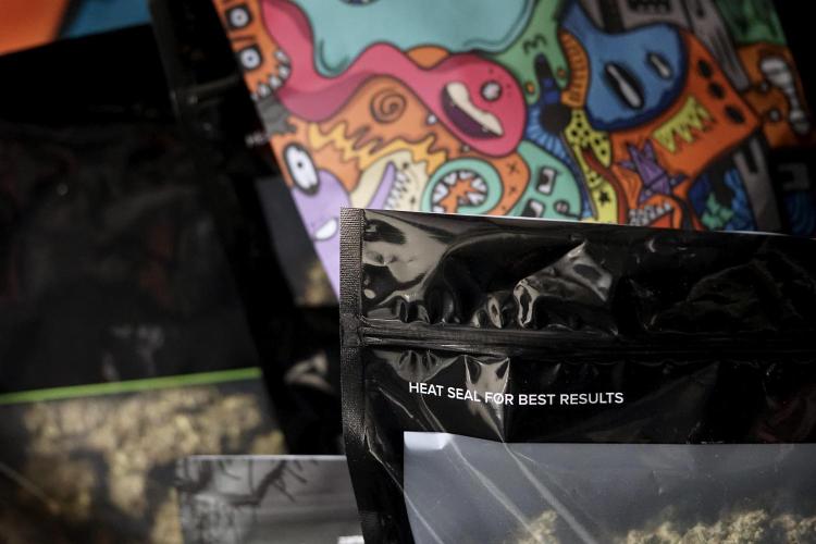 BlueBerry by Zamnesia Seeds. Week 15 - BB#2