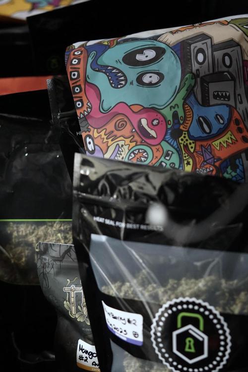 BlueBerry by Zamnesia Seeds. Week 15 - BB#2