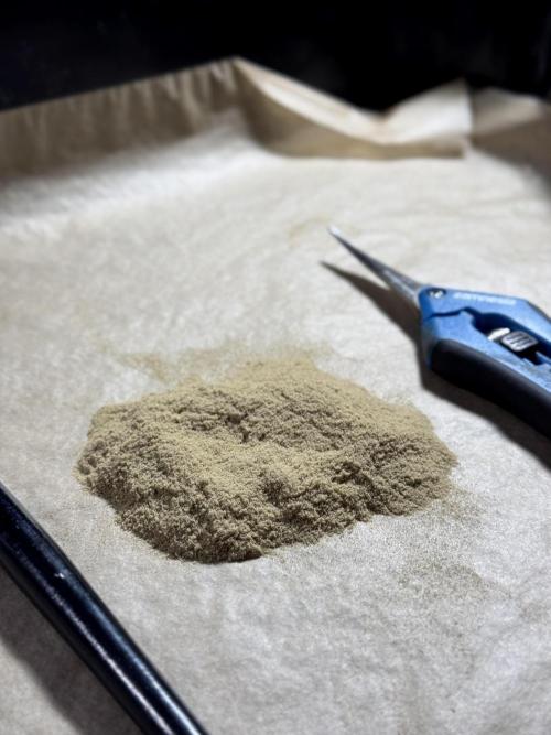 BlueBerry by Zamnesia Seeds. Week 15 - Mix Spectrum Gold