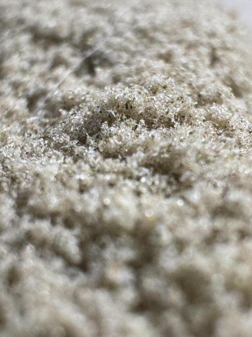 BlueBerry by Zamnesia Seeds. Week 15 - Mix Spectrum Gold