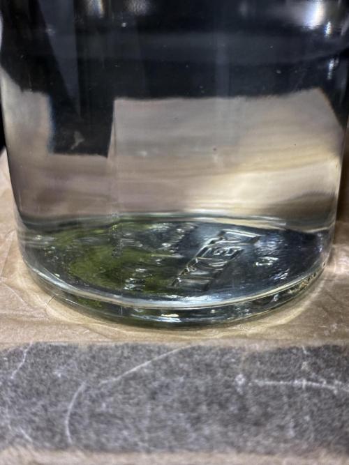 BlueBerry by Zamnesia Seeds. Week 15 - hot and pressure 