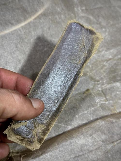 BlueBerry by Zamnesia Seeds. Week 15 - hot and pressure 