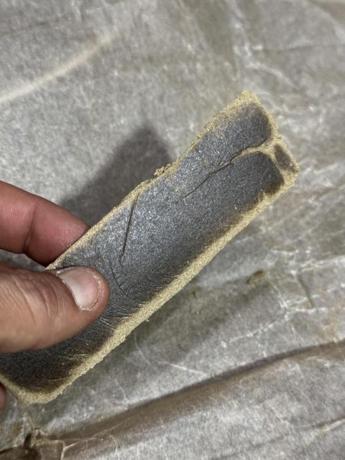 BlueBerry by Zamnesia Seeds. Week 15 - hot and pressure 