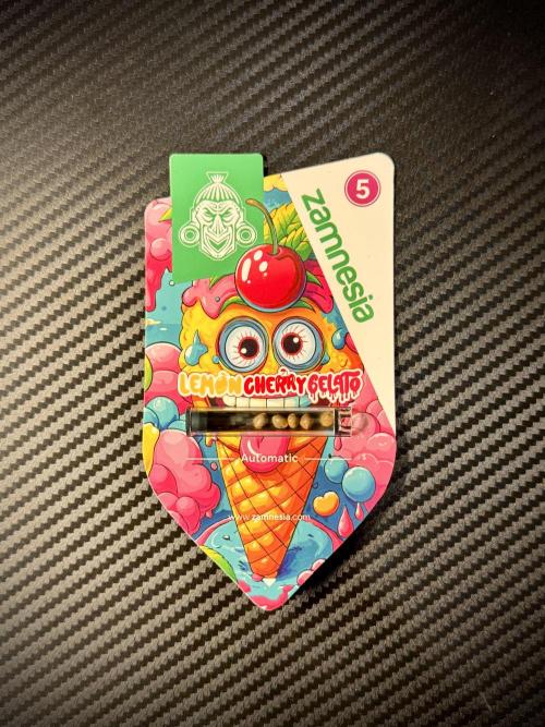 Lemon Cherry Gelato YumYum. Week 0 - Genetics