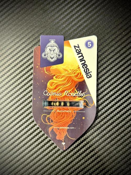 Cosmic Noodles a Zamnesia Dish. Week 0 - Germination 