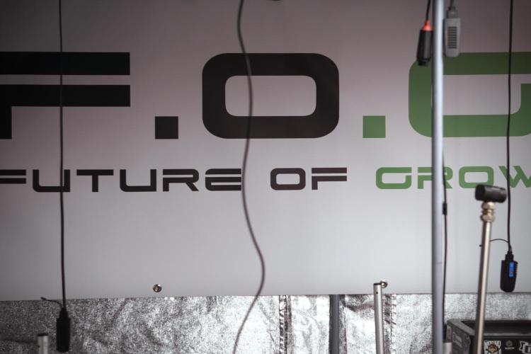 Cosmic Noodles a Zamnesia Dish. Week 0 - Germination 