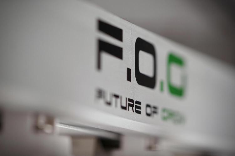 Cosmic Noodles a Zamnesia Dish. Week 0 - Germination 