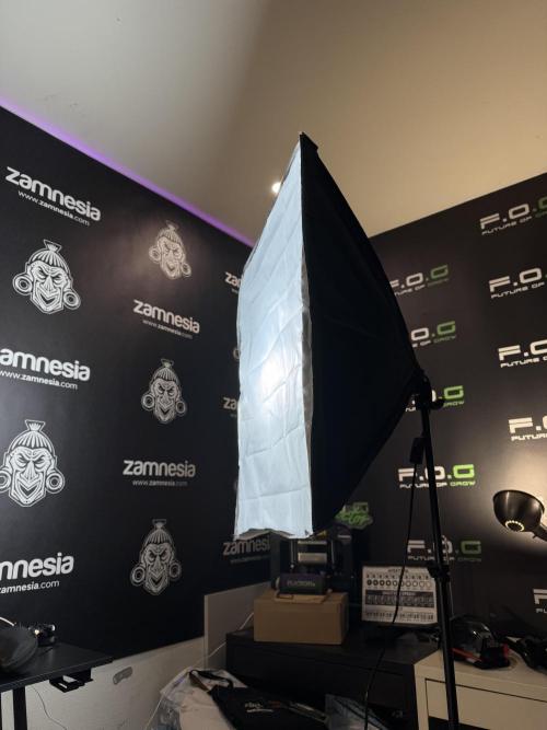 Cosmic Noodles a Zamnesia Dish. Week 0 - studio