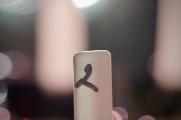 Cosmic Noodles a Zamnesia Dish. Week 0 - Germination 