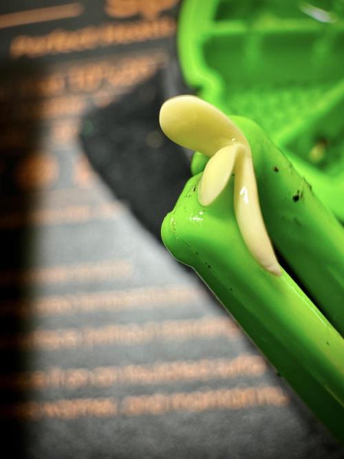 Amnesia Skunk The Zamnesia Way. Week 0 - Germination 