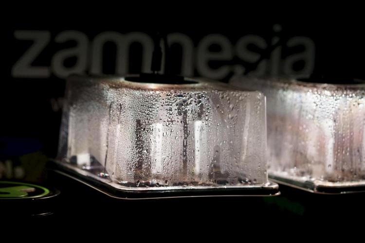 Amnesia Skunk The Zamnesia Way. Week 0 - Germination 